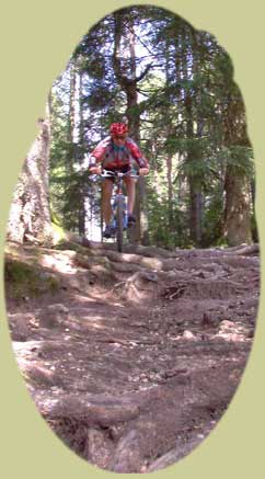 mountainbike